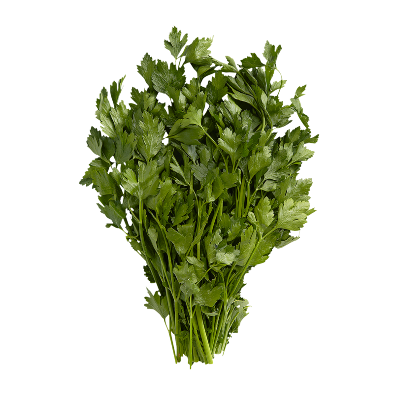 Italian Parsley