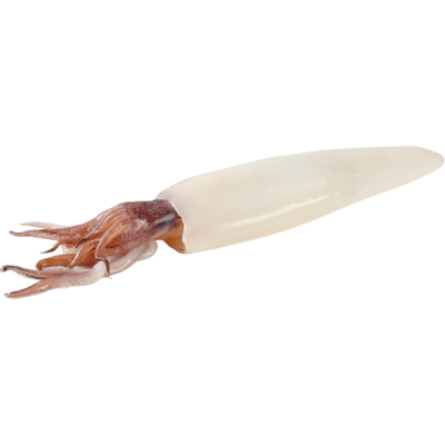 null Calmar nettoyé et décongelé 30,84 $/1kg 13,99 $/1lb