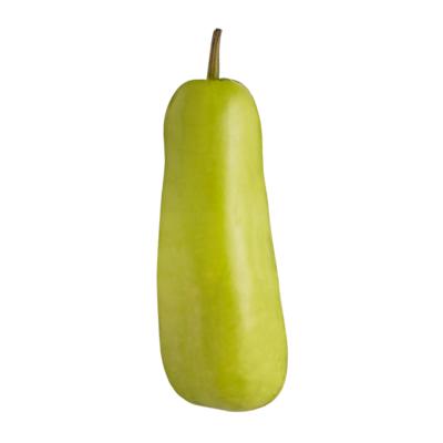 null Opo Squash $4.41/1kg $2.00/1lb