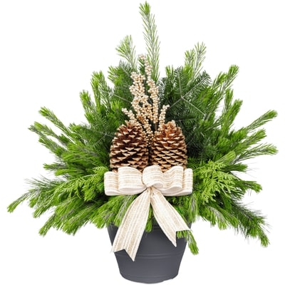 President's Choice Large Outdoor Holiday Arrangement 1 ea, $40.00/1ea