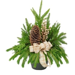 le Choix du Président Grand arrangement des Fêtes pour l’extérieur 1 ea, 40,00 $/1ch