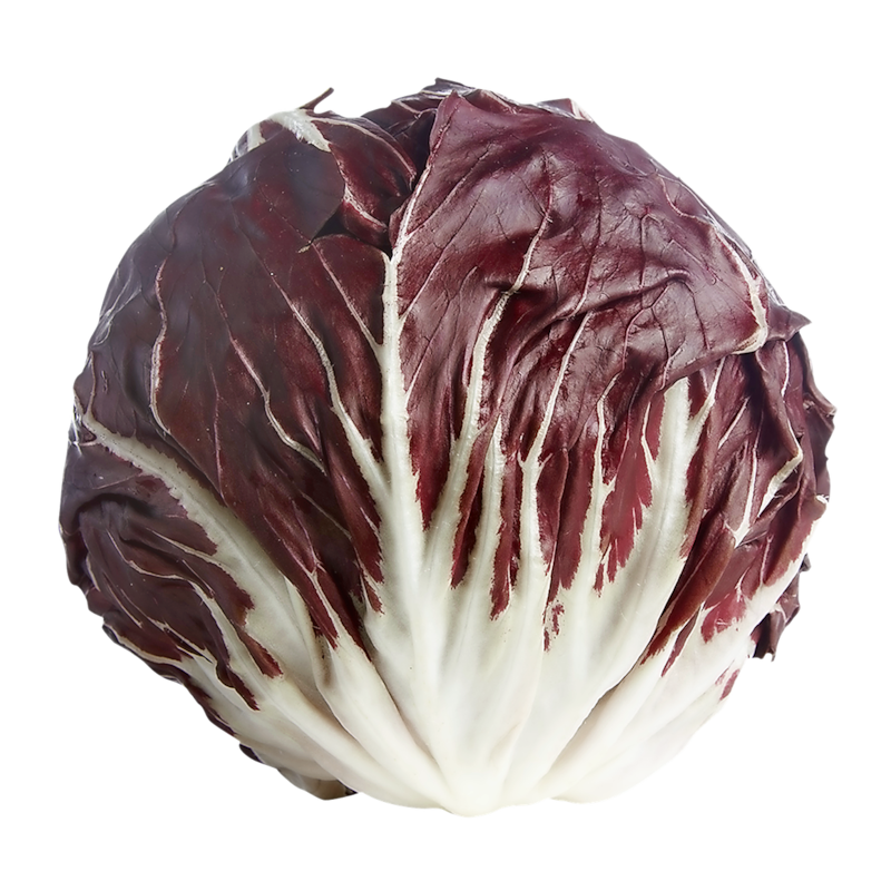 Radicchio Lettuce