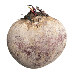null Red Beets, case 1 ea, $2.38/1kg