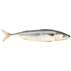 null Maquereau frais de l’Atlantique 15,41 $/1kg 6,99 $/1lb