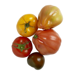 null Tomates ancestrales assorties 13,21 $/1kg 5,99 $/1lb