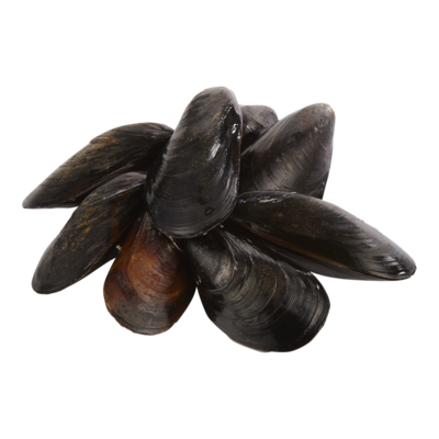 null Mussels, Cultivated Live $0.88/100g $3.99/1lb