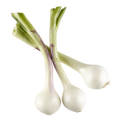 null Bulbe d’oignon botte 1 ea, 3,99 $/1ch