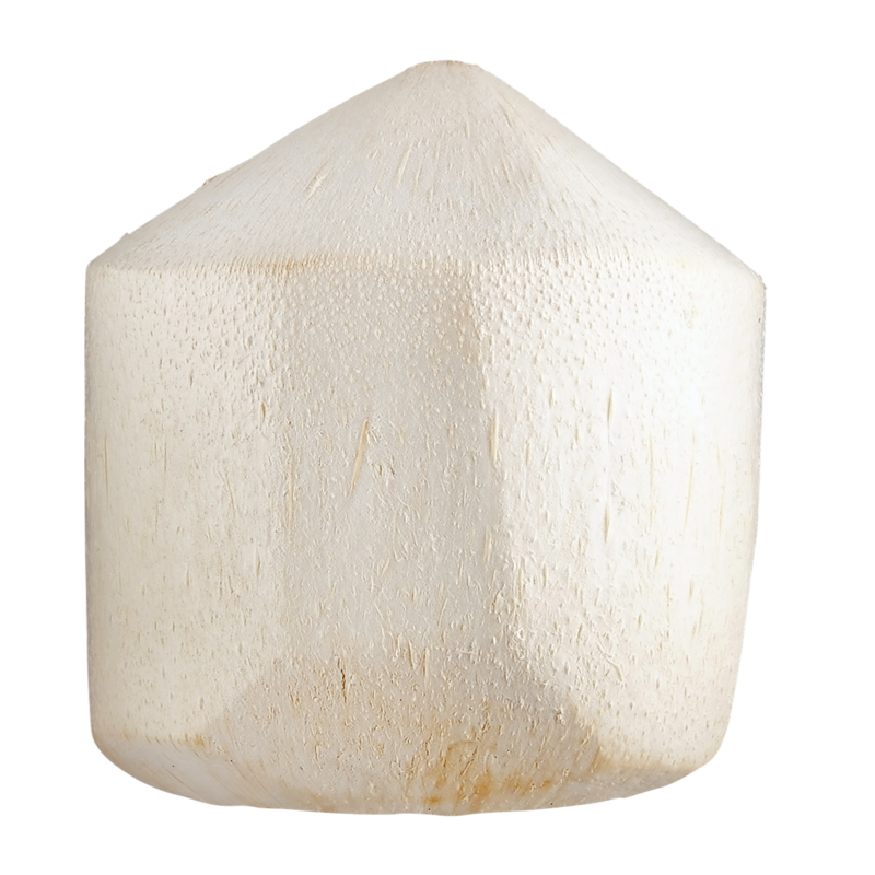 Fresh Coconut Young