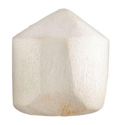 null Jeune Noix de coco 1 ea, 5,99 $/1ch