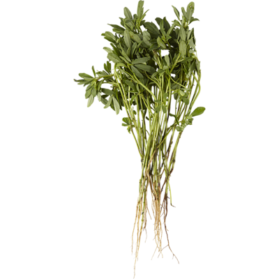 null Fenugrec bouqet 1 ea, 1,99 $/1ch