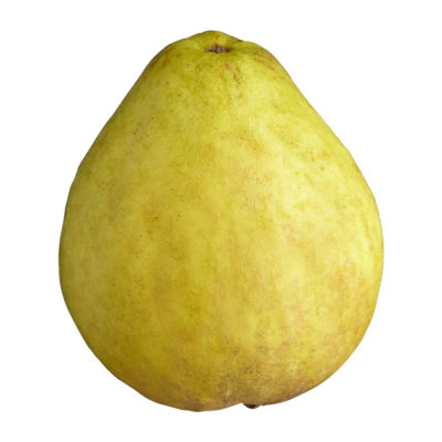 null Goyave 11,02 $/1kg 5,00 $/1lb