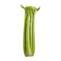 Céleri