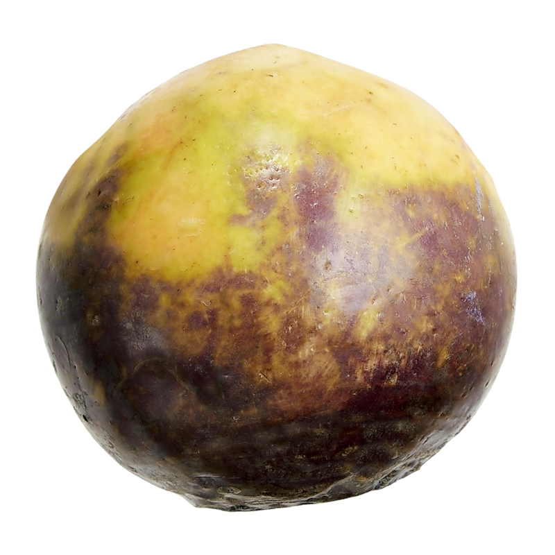 Rutabaga