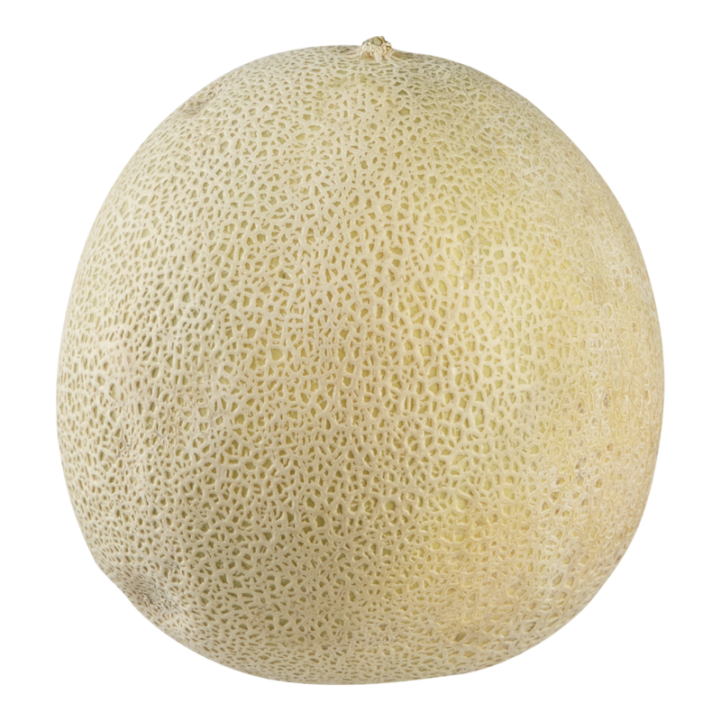 Cantaloupe