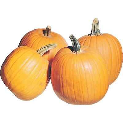 null Colossal Pumpkin 1 ea, $4.99/1ea