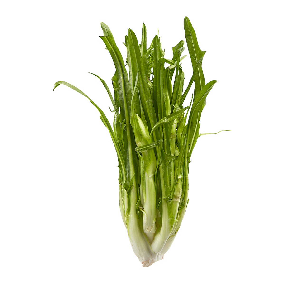 null Italian Dandelion Greens, Bunch $8.80/1kg $3.99/1lb
