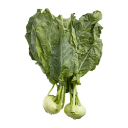 null Kohlrabi $6.59/1kg $2.99/1lb