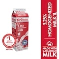 Neilson 3.25% Homogenized Milk - 1 l | Fortinos