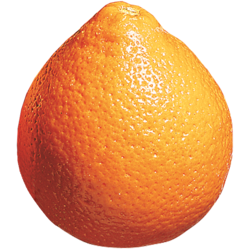 null Tangelo Minneola 6,99 $/1kg 3,17 $/1lb