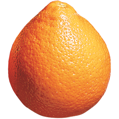 null Tangelo Minneola 6,59 $/1kg 2,99 $/1lb