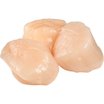 null Scallops 10/20 $105.80/1kg $48.00/1lb