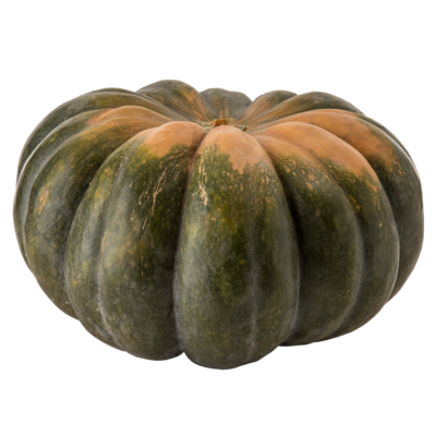 null Fairytale Pumpkin 1 ea, $7.99/1ea