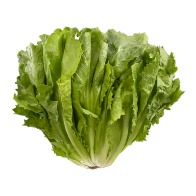 null Escarole 1 ea, $2.99/1ea