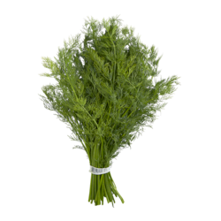 null Fresh Dill, Baby 1 ea, $3.49/1ea