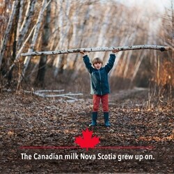 Scotsburn 18% Coffee Cream - 500 ml | Dominion Stores of Newfoundland