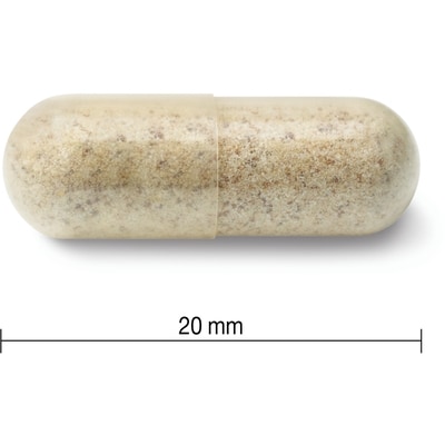 Echinacea High Potency Organic Capsules, 1,200 mg