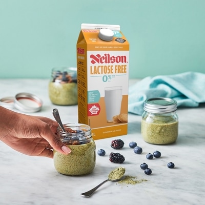 Lait écrémé 0% sans lactose