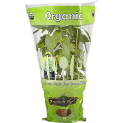Organic Thai Basil Potted