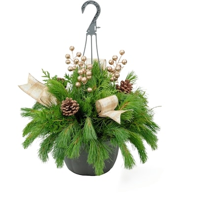 President's Choice Outdoor Holiday Hanging Basket 1 ea, $25.00/1ea