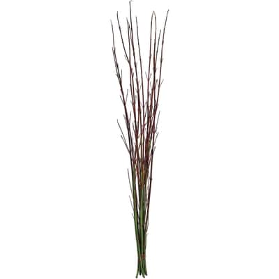 President's Choice Red Twig Dogwood Bunch 1 ea, $9.00/1ea