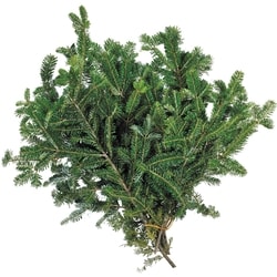 President's Choice Fraser Fir Bunch 1 ea, $10.00/1ea