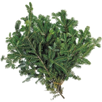 President's Choice Fraser Fir Bunch 1 ea, $9.00/1ea