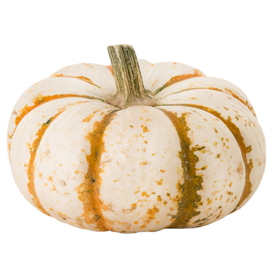 Tiger Halloween Pumpkins, 3 Pack