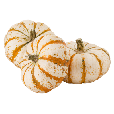 Tiger Halloween Pumpkins, 3 Pack