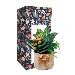 null Sac à cadeau jardinière 1 ea, 28,00 $/1ch