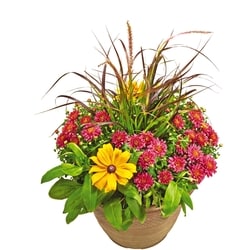 President's Choice Planter 13-inch 1 ea, $25.00/1ea