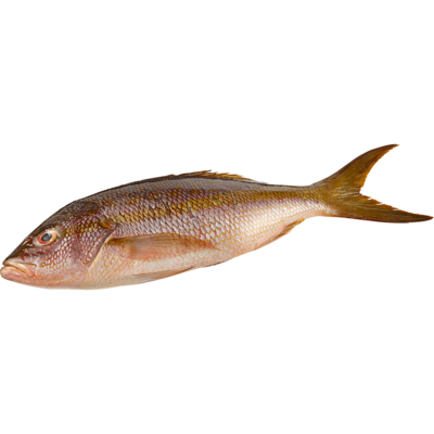 null Whole Yellowtail Snapper $26.43/1kg $11.99/1lb