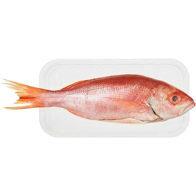 null Whole Lane Snapper $26.43/1kg $11.99/1lb