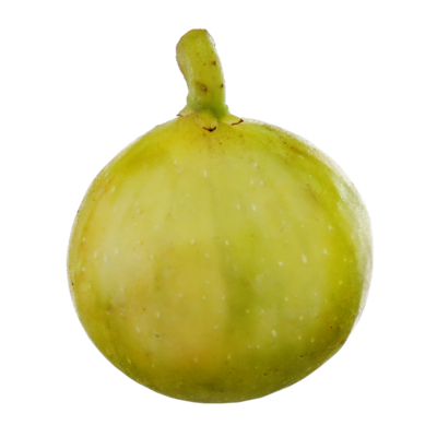 null Figues vertes 1 ea, 1,50 $/1ch