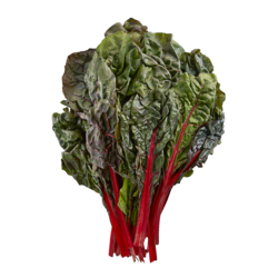 Red Swiss Chard