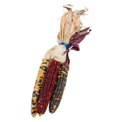 null Decorative Corn, pack of 3 1 ea, $4.99/1ea