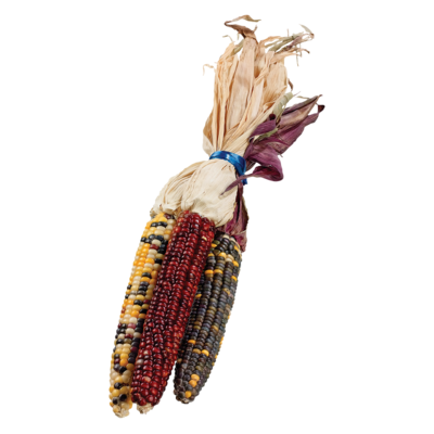 null Decorative Corn, pack of 3 1 ea, $4.00/1ea