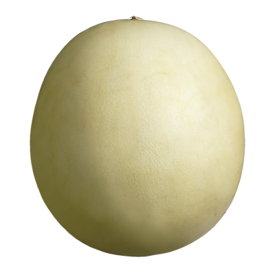 null Organic Honeydew Melon 1 ea, $8.99/1ea