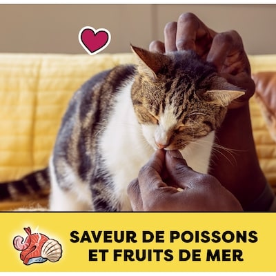 thumbnail #4