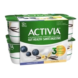 Probiotic Yogurt, Vanilla/Blueberry