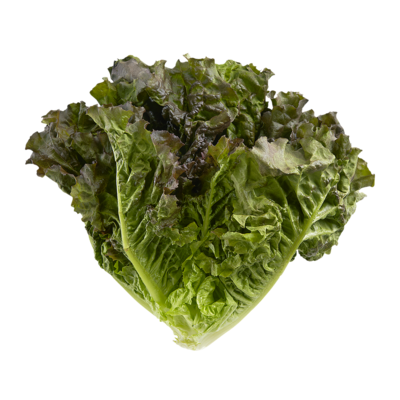 null Red Leaf Lettuce 1 ea, $1.99/1ea